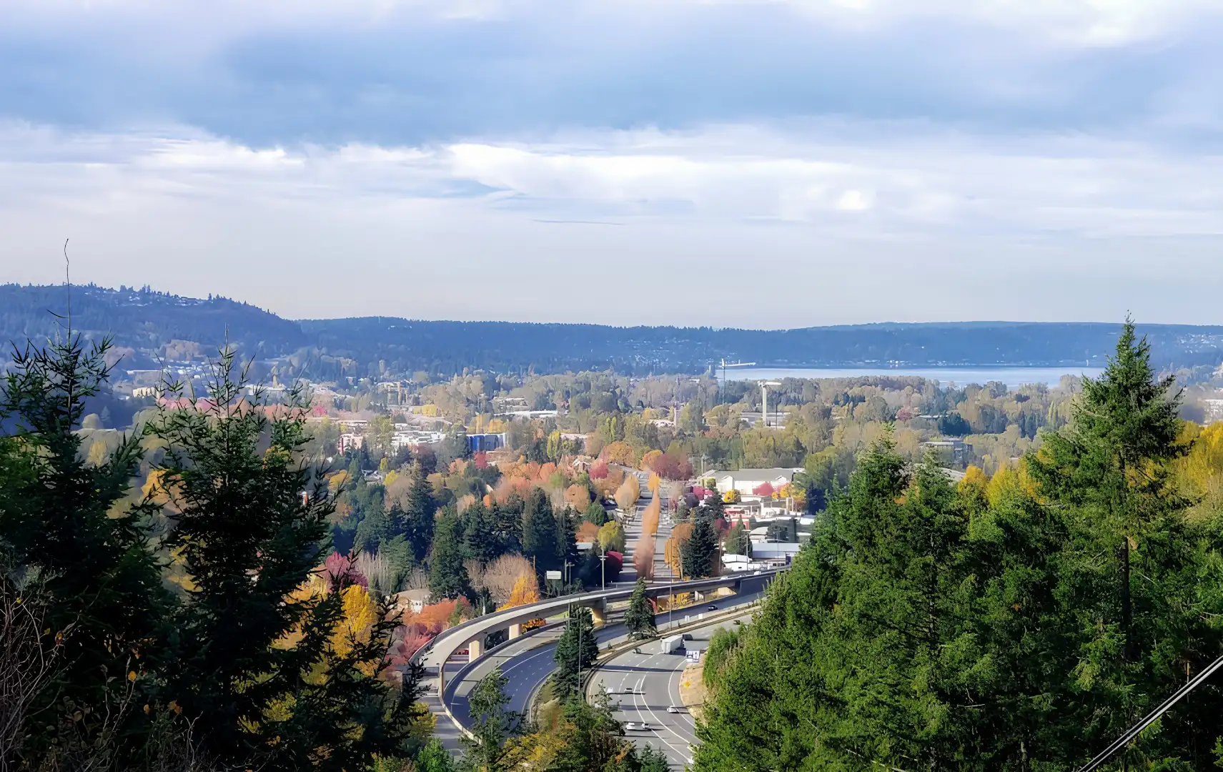 Limousine Rentals in Issaquah